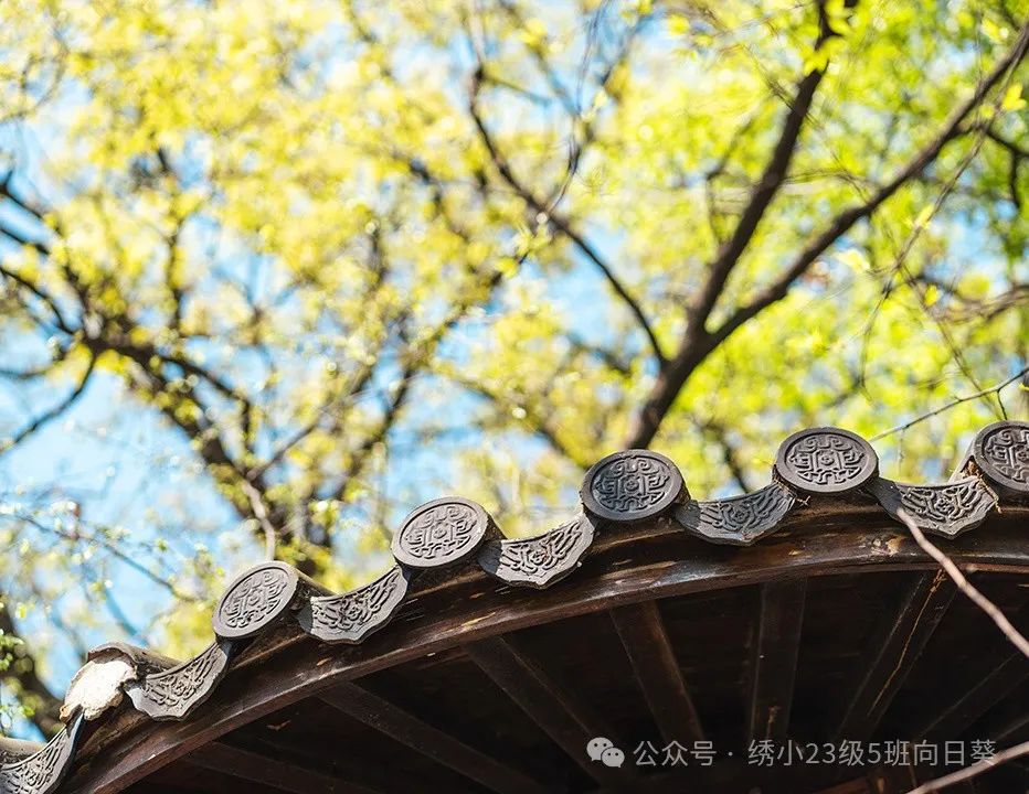 嗨!小学,你好! 第9张 嗨!小学,你好! 第9张
