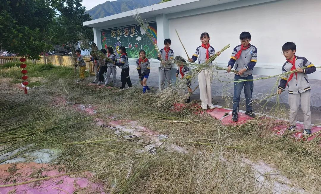 坦头镇第二小学第12周周报 第19张 坦头镇第二小学第12周周报 第19张