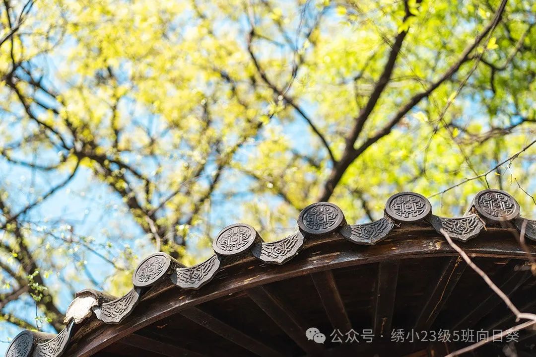 嗨!小学,你好! 第8张 嗨!小学,你好! 第8张