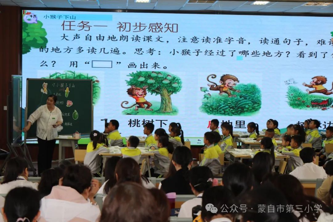 五月夏意浅  研思意蕴浓——蒙自市第三小学教育集团集体教研活动 第7张