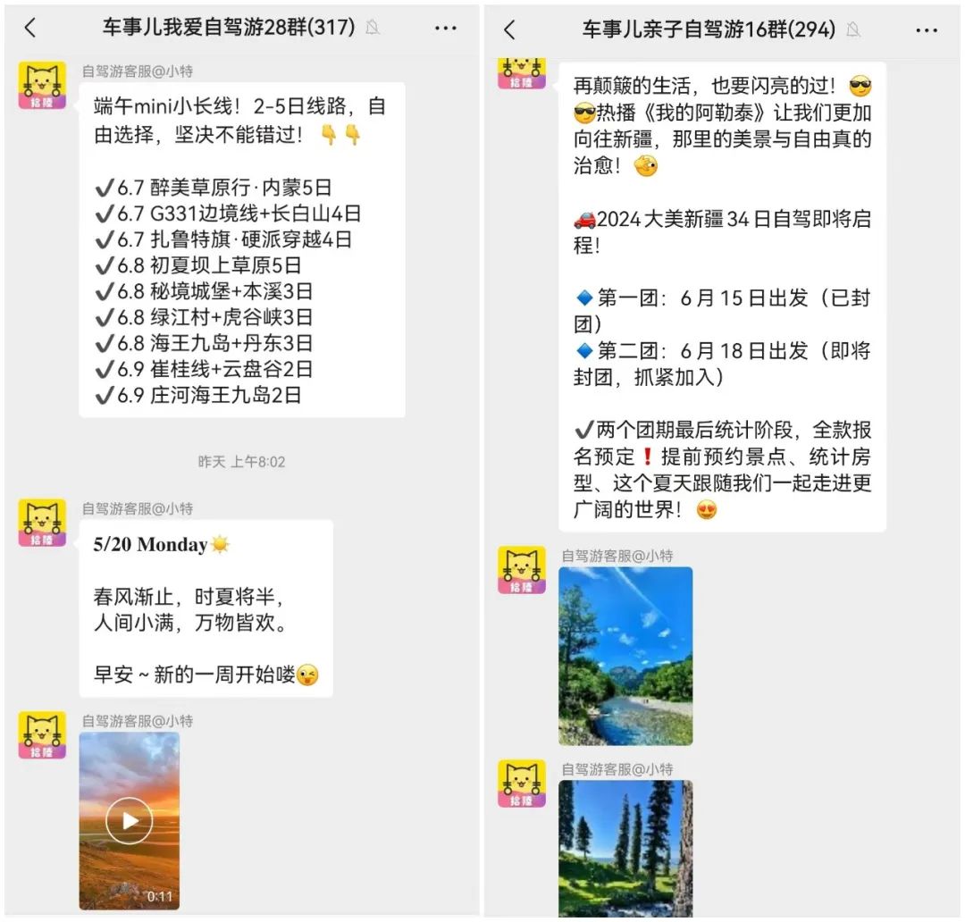 六一、端午、中高考齐至,送考车贴还没领?潮玩、自驾游还没规划? 第13张