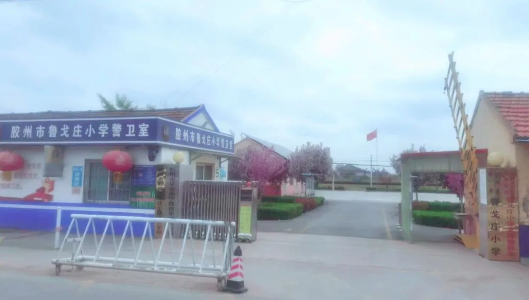 胶州市胶西鲁戈庄小学2024招生简章 第1张