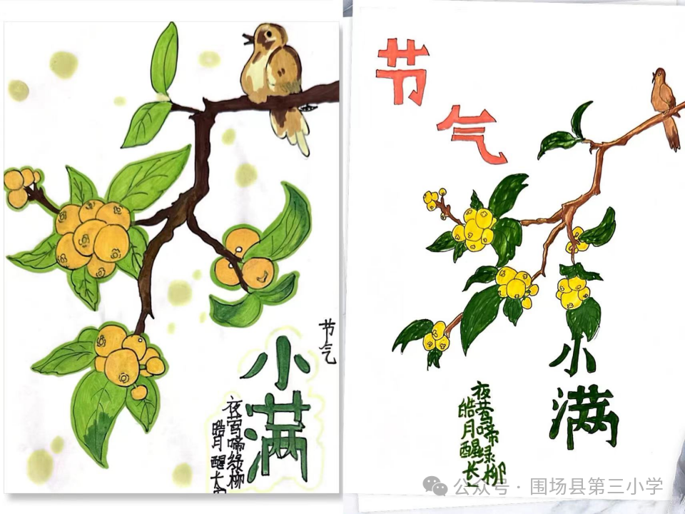 【闪光三小·德育课程】围场县第三小学二十四节气融合课程——小满 第15张
