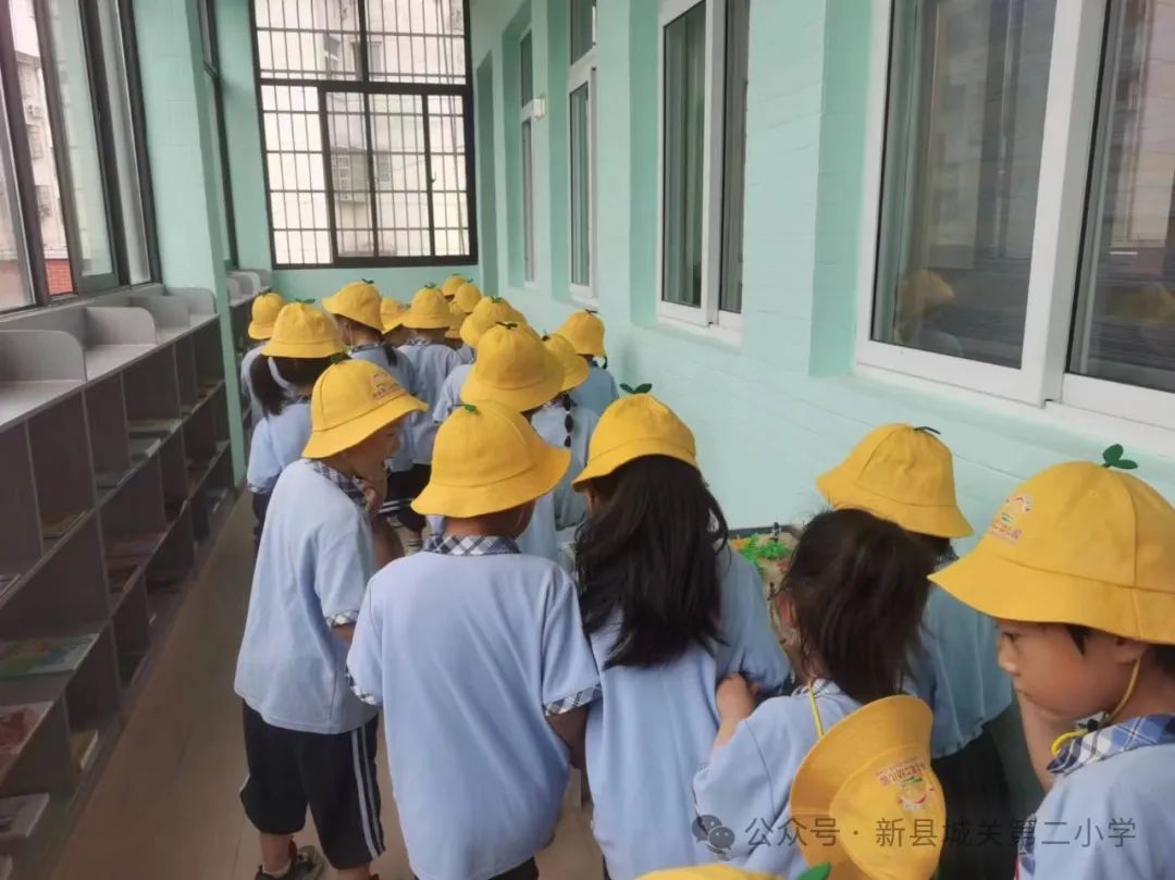 幼小衔接 双向奔赴——新县城关第二小学携手新县第二幼儿园开展“幼小衔接”活动 第18张 幼小衔接 双向奔赴——新县城关第二小学携手新县第二幼儿园开展“幼小衔接”活动 第18张