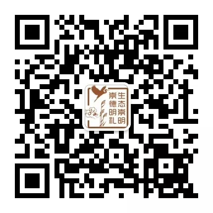 【文明校园】崇明区明珠小学:以“文”化人, 以“竹”育人 第32张 【文明校园】崇明区明珠小学:以“文”化人, 以“竹”育人 第32张