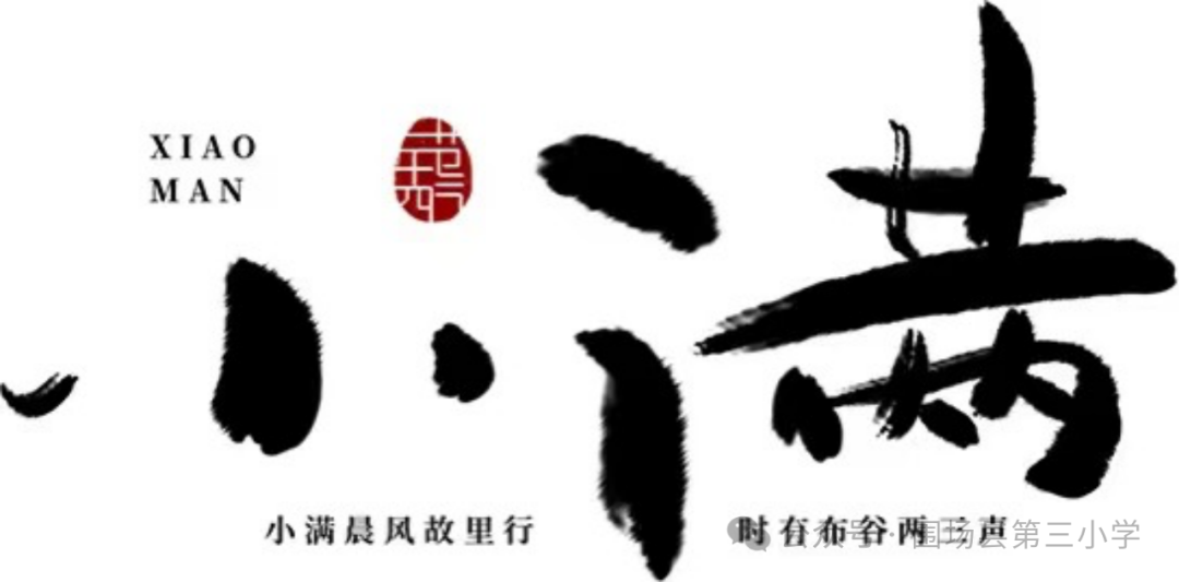 【闪光三小·德育课程】围场县第三小学二十四节气融合课程——小满 第2张
