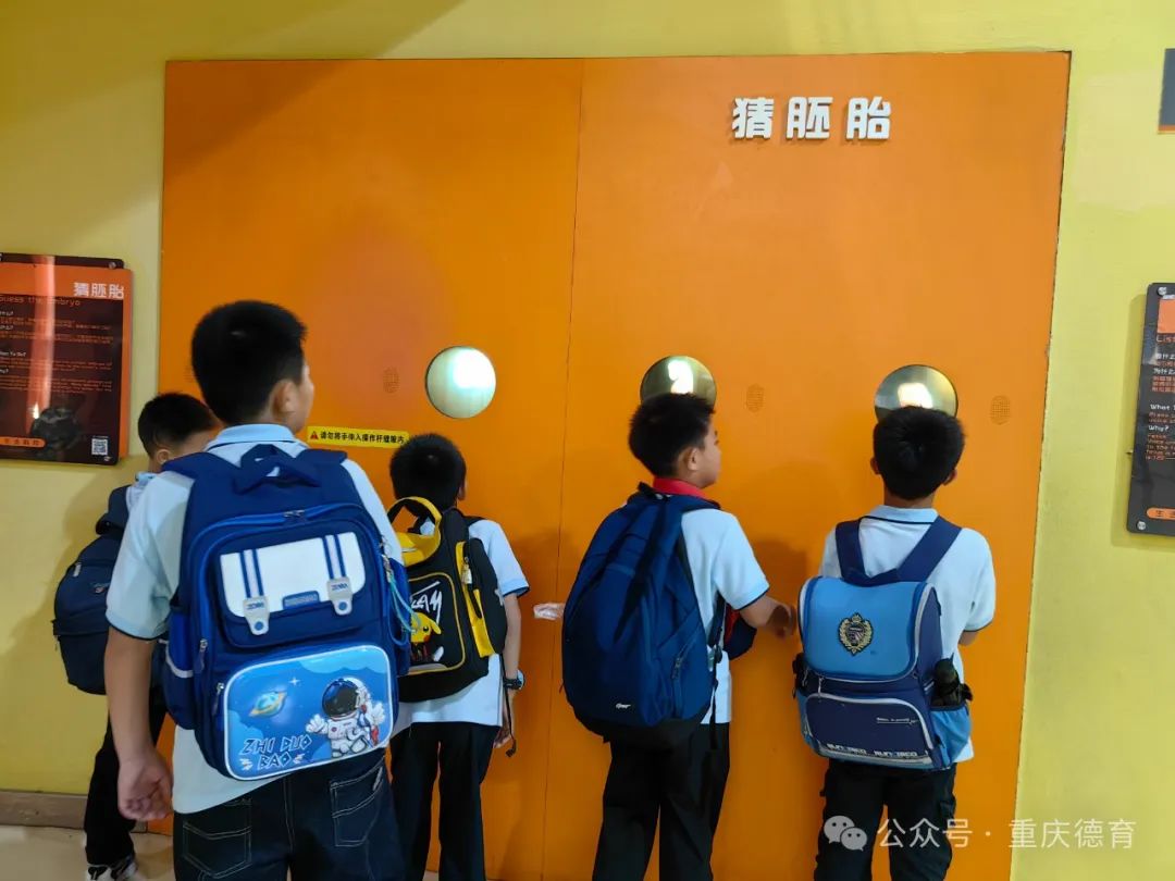 “遨游科技世界 点亮科学梦想”—澄溪小学2024春季研学旅行 第13张 “遨游科技世界 点亮科学梦想”—澄溪小学2024春季研学旅行 第13张