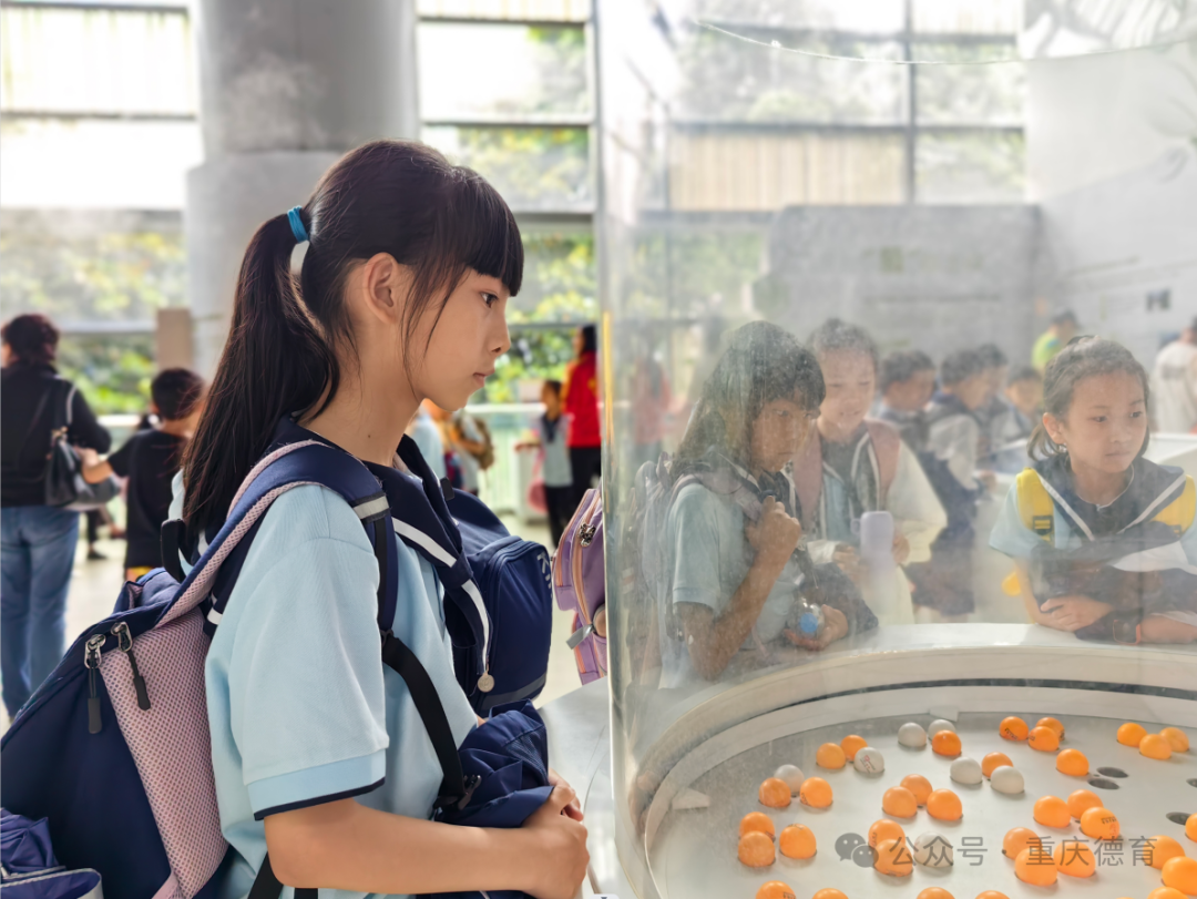 “遨游科技世界 点亮科学梦想”—澄溪小学2024春季研学旅行 第14张 “遨游科技世界 点亮科学梦想”—澄溪小学2024春季研学旅行 第14张