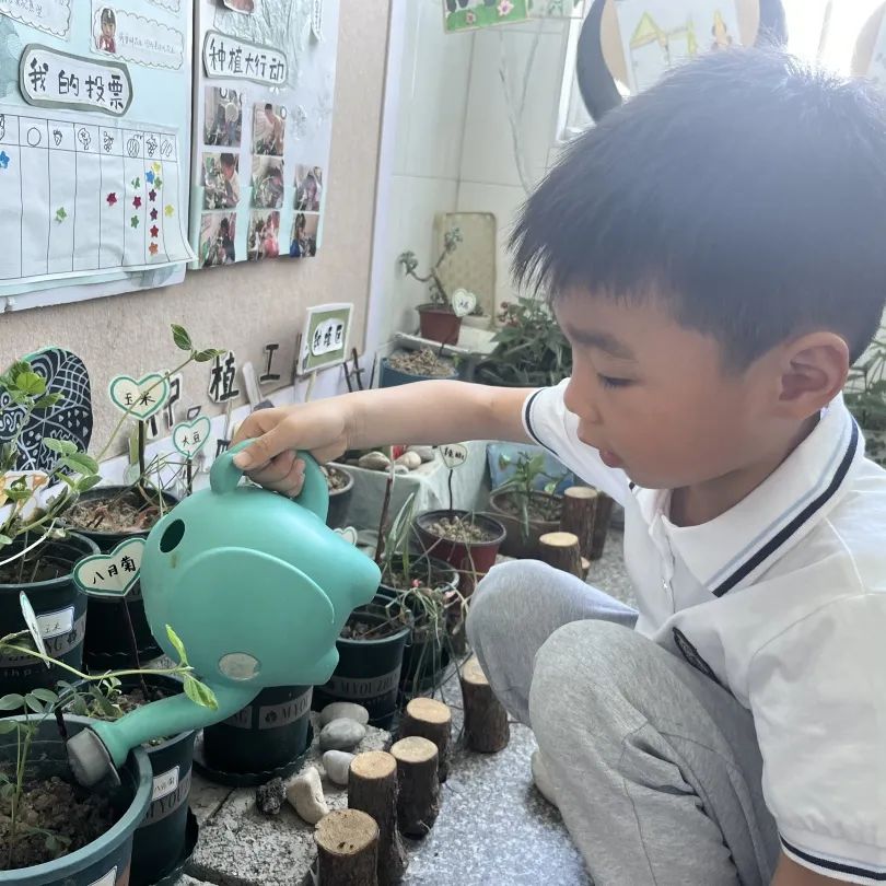 走近小学 快乐衔接 第71张