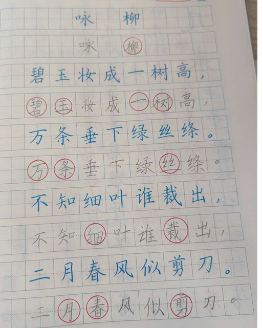 小学硬笔习字来稿选登(94) 第5张
