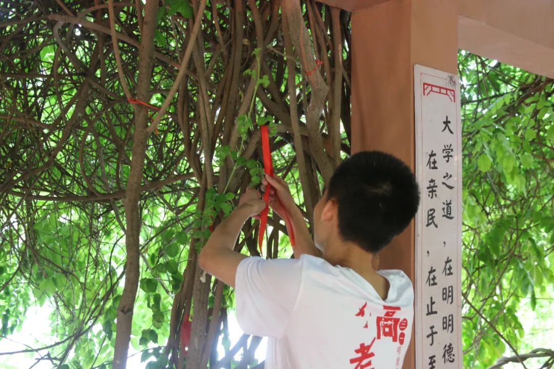 祈福高考  放飞梦想丨青县明德中学高三高考许愿祈福仪式 第25张