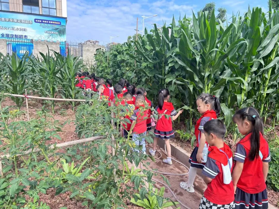 【凤幼动态】“初遇小学 筑梦成长”——幼小衔接之走进小学大班活动 第33张