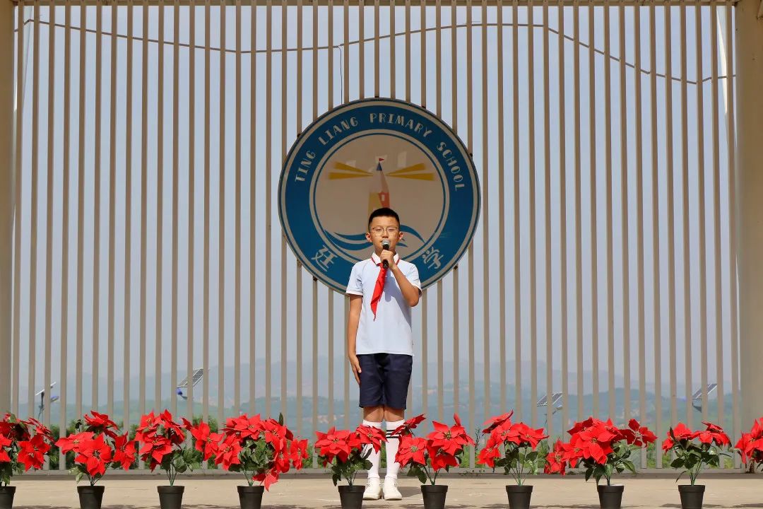 离石区廷亮小学少先队2024年入队系列活动纪实 第74张 离石区廷亮小学少先队2024年入队系列活动纪实 第74张
