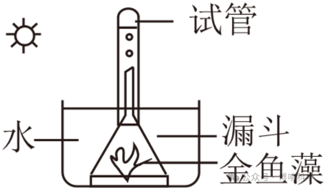 精选近20年杭州科学中考实验题(考点透视+满分技巧)助你精准备考! 第25张