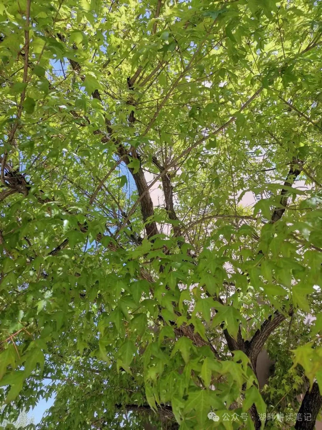 中考来临,我去抽签的前前后后 第1张 中考来临,我去抽签的前前后后 第1张