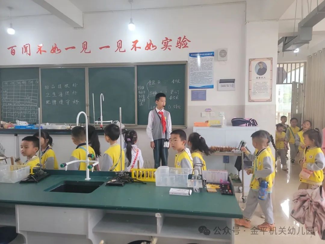【幼小衔接】探秘小学 “幼”见美好——金平县机关幼儿园2024年大班幼儿参观小学活动 第28张