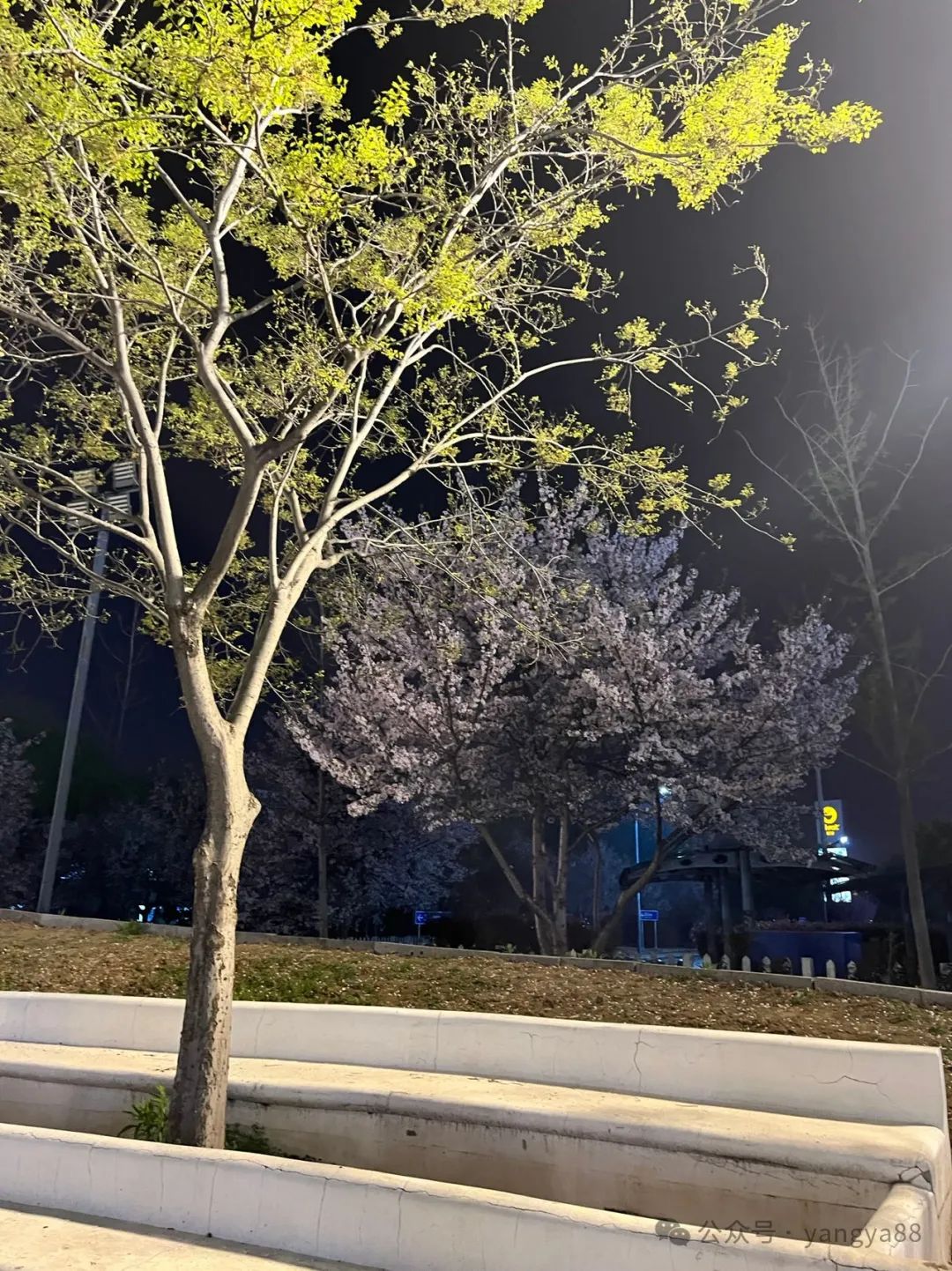 高考的衣着 第1张