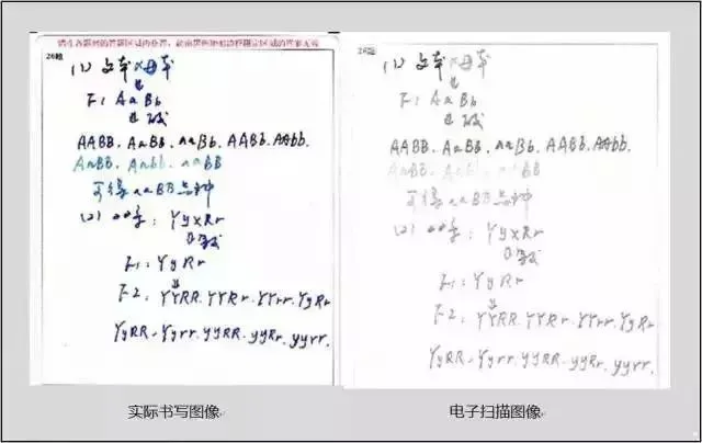 中考试卷扫描后啥样?评卷误差咋回事?注意这些多得20分!(转给学生) 第3张 中考试卷扫描后啥样?评卷误差咋回事?注意这些多得20分!(转给学生) 第3张
