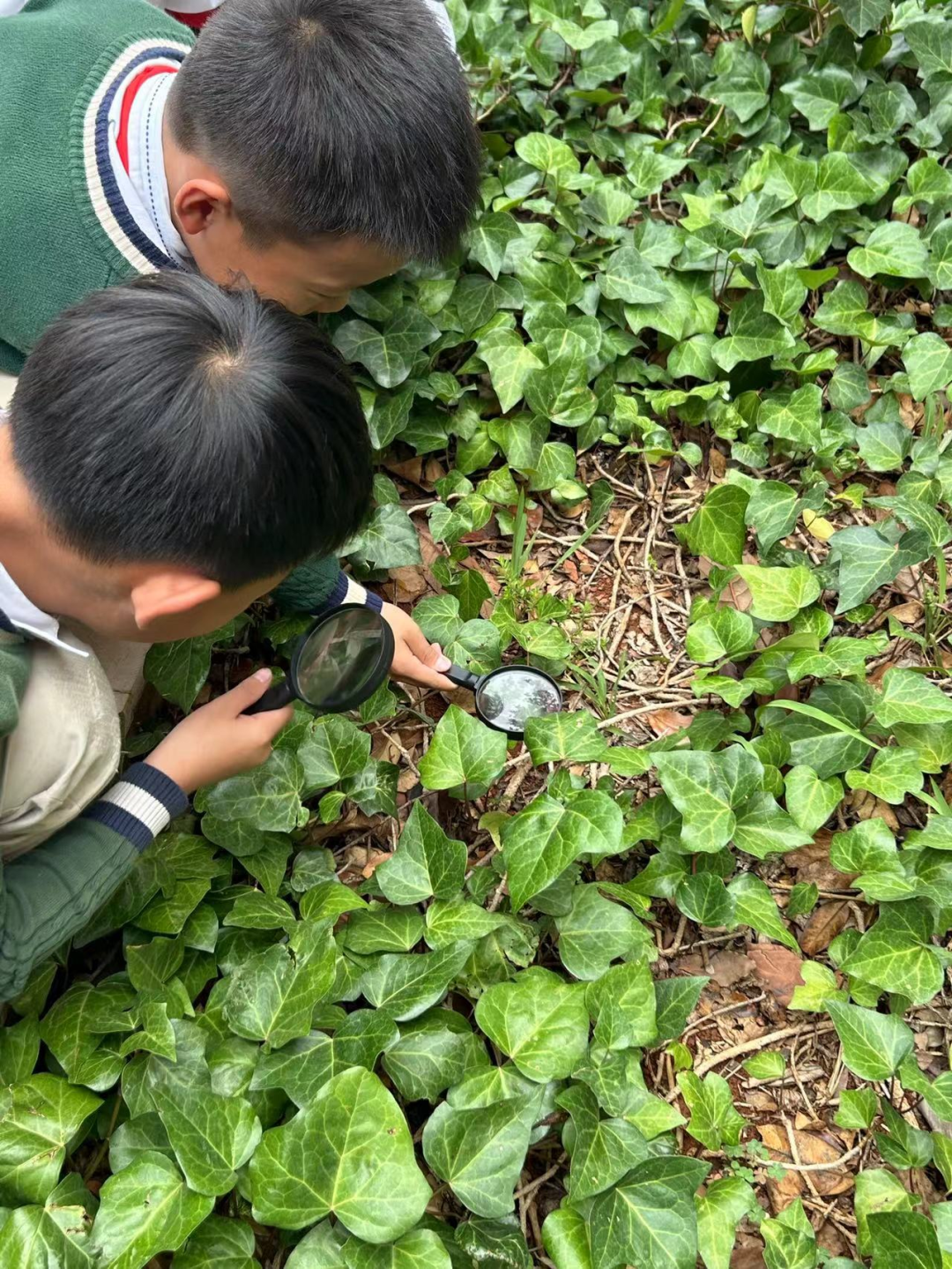 曙光小学珥季路校区举办“小满·神秘之旅”活动 第5张 曙光小学珥季路校区举办“小满·神秘之旅”活动 第5张