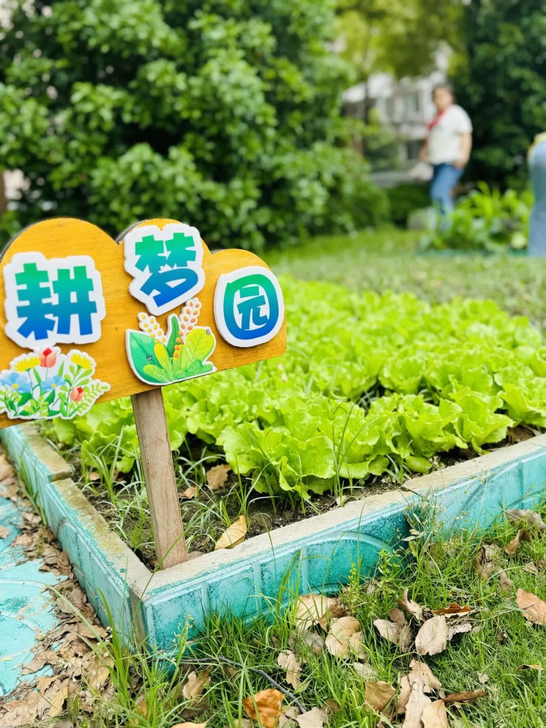 【实小教育集团·十里坊小学】“趣”当劳动者,“育”见劳动美 ——四年级劳动主题系列活动 第24张