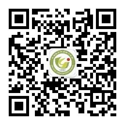 【重要通知】2024年丰满区第二实验小学东校区(石井实验小学校)新一年招生工作通知 第13张