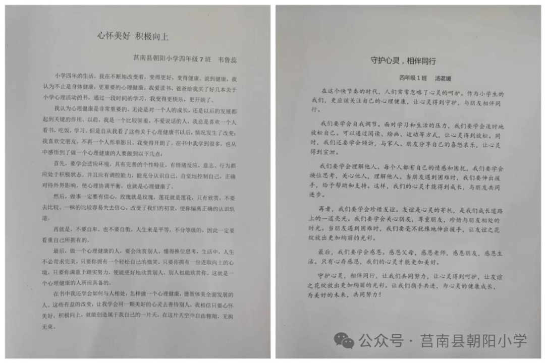 【朝阳小学•校园动态】朝阳小学开展“五育并举润心灵”心理健康教育月系列活动之以智慧心 第9张 【朝阳小学•校园动态】朝阳小学开展“五育并举润心灵”心理健康教育月系列活动之以智慧心 第9张