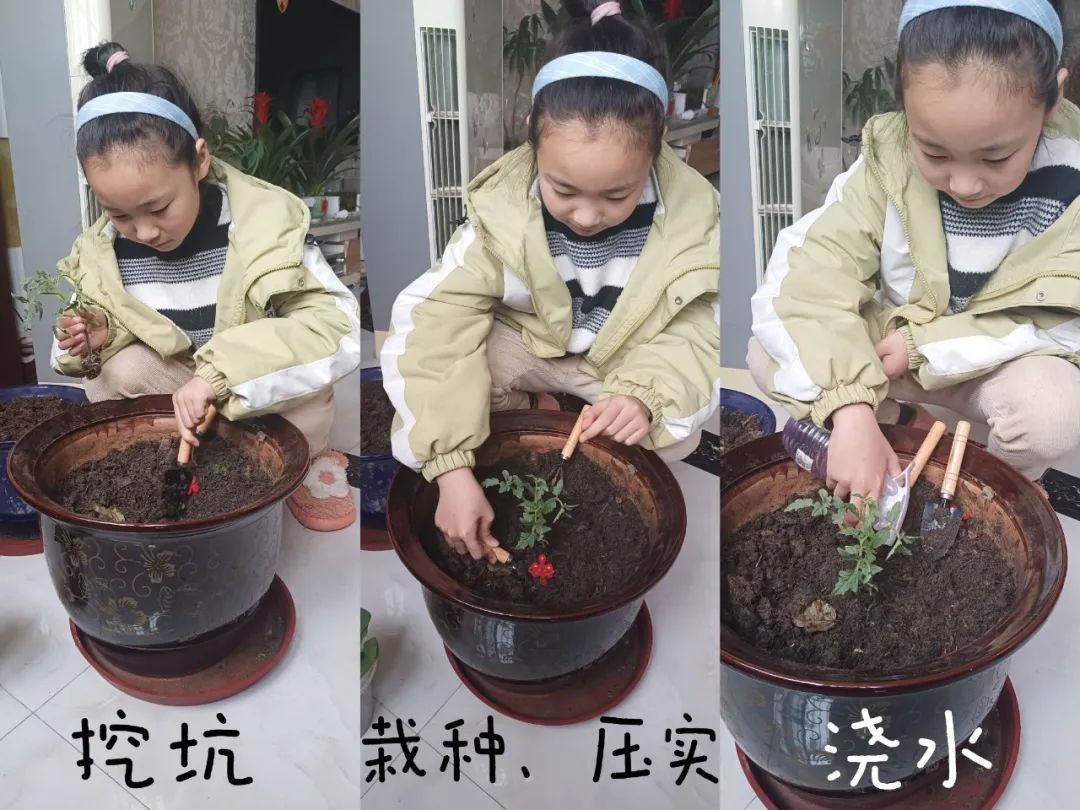 【实小教育集团·十里坊小学】“趣”当劳动者,“育”见劳动美 ——四年级劳动主题系列活动 第12张