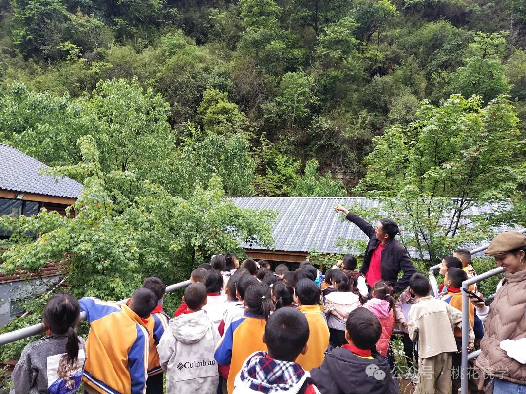 走进石头老君山 了解生物多样性——桃花小学开展一年级自然生态课堂活动 第3张 走进石头老君山 了解生物多样性——桃花小学开展一年级自然生态课堂活动 第3张