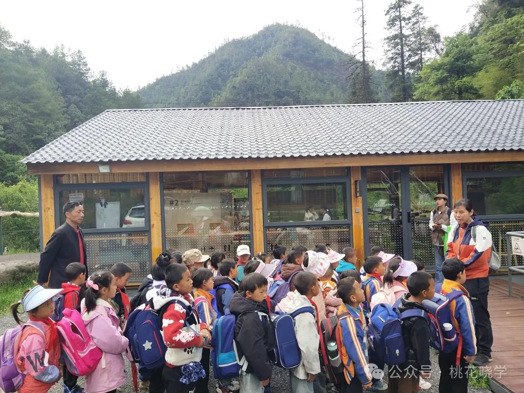 走进石头老君山 了解生物多样性——桃花小学开展一年级自然生态课堂活动 第2张 走进石头老君山 了解生物多样性——桃花小学开展一年级自然生态课堂活动 第2张