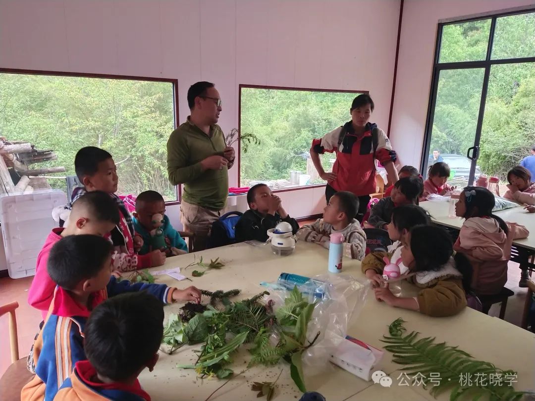走进石头老君山 了解生物多样性——桃花小学开展一年级自然生态课堂活动 第17张 走进石头老君山 了解生物多样性——桃花小学开展一年级自然生态课堂活动 第17张