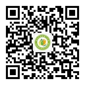 柳州市阳和第二小学2024年春季学期趣味运动会 第55张 柳州市阳和第二小学2024年春季学期趣味运动会 第55张