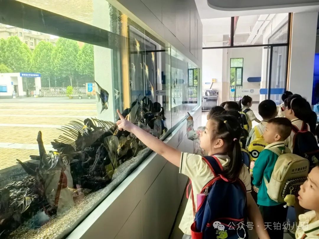 【你好,小学!】——金开服投·天铂幼儿园走进小学活动 第47张 【你好,小学!】——金开服投·天铂幼儿园走进小学活动 第47张