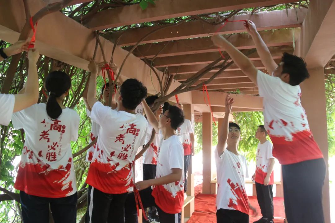 祈福高考  放飞梦想丨青县明德中学高三高考许愿祈福仪式 第22张