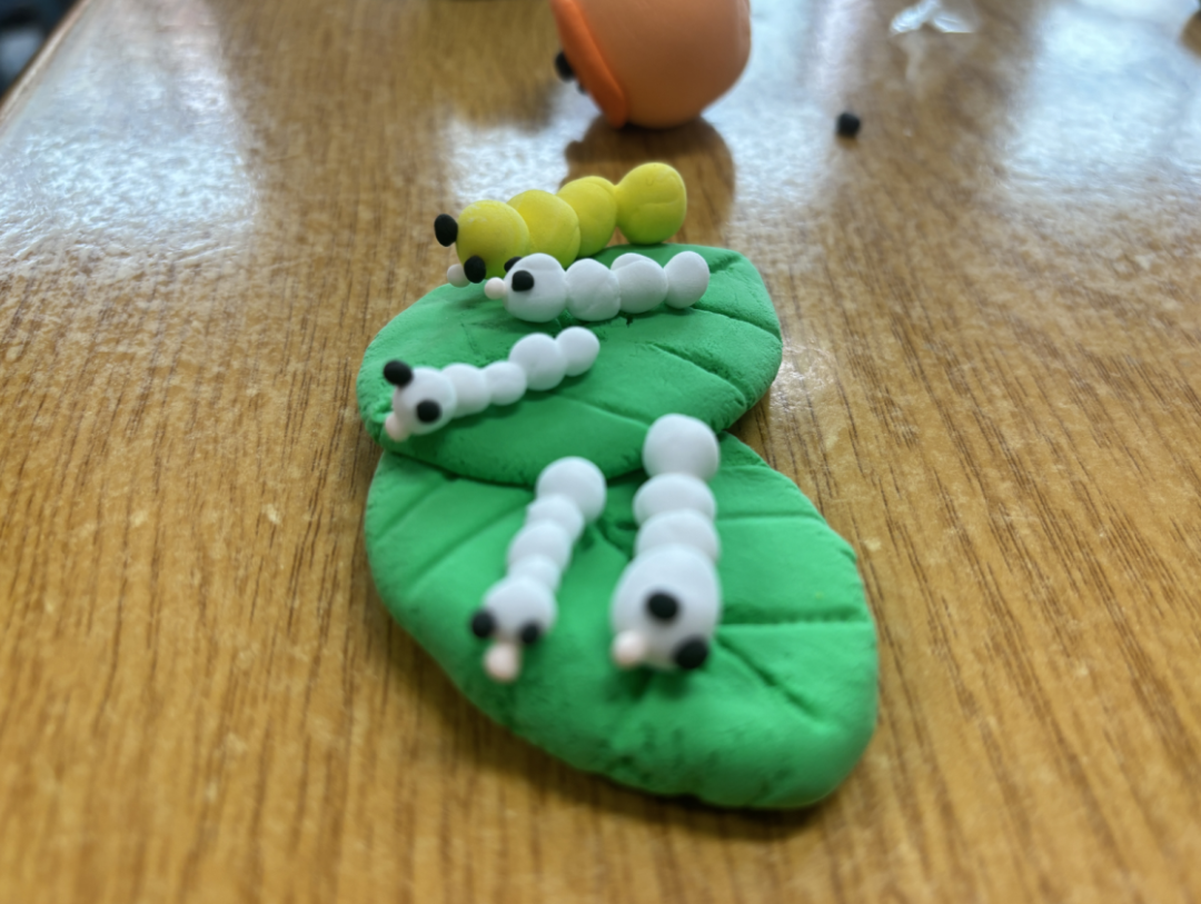 曙光小学珥季路校区举办“小满·神秘之旅”活动 第12张 曙光小学珥季路校区举办“小满·神秘之旅”活动 第12张