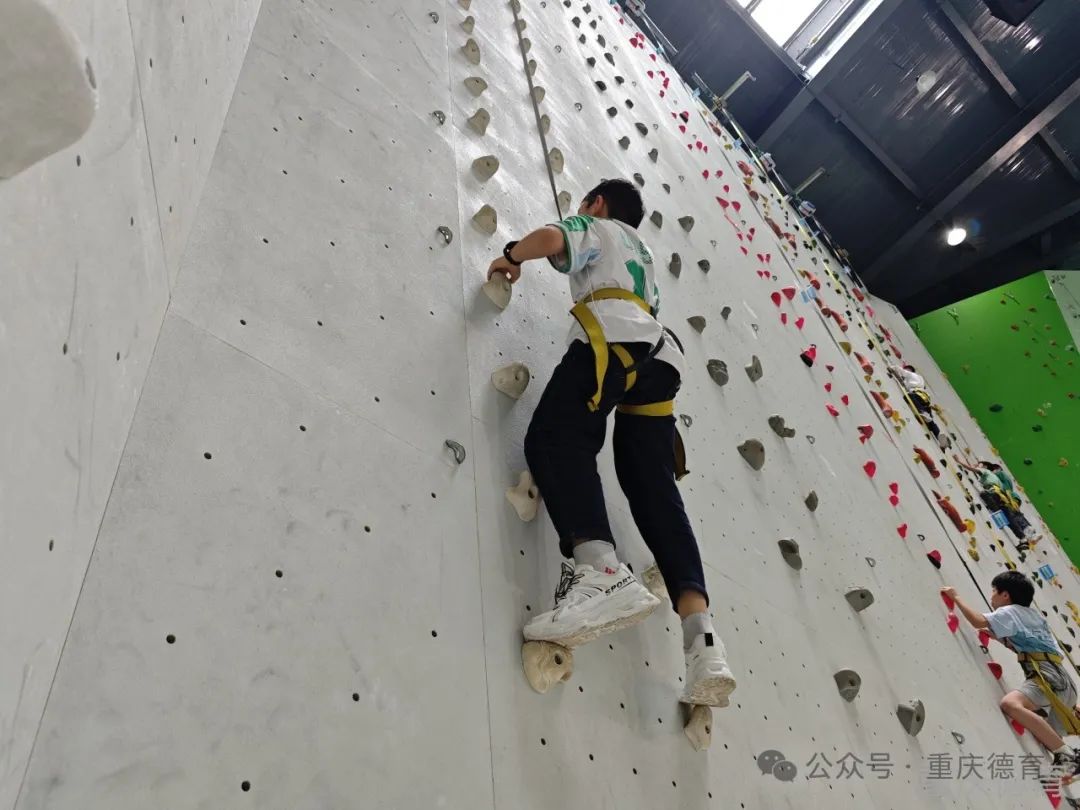 “遨游科技世界 点亮科学梦想”—澄溪小学2024春季研学旅行 第54张 “遨游科技世界 点亮科学梦想”—澄溪小学2024春季研学旅行 第54张