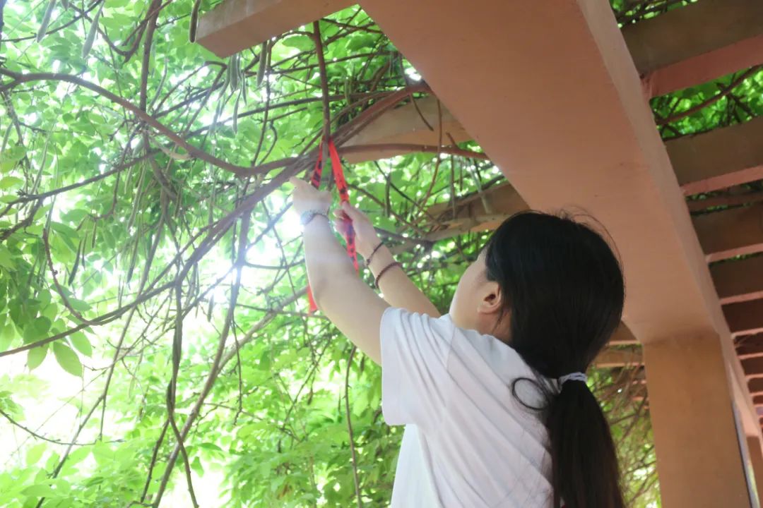 祈福高考  放飞梦想丨青县明德中学高三高考许愿祈福仪式 第28张