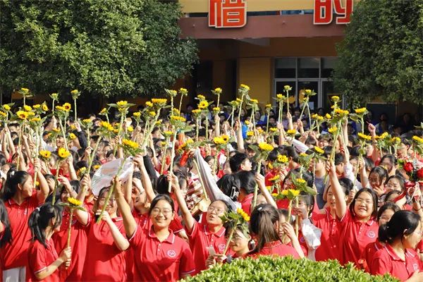 校园 | 嵩阳高中 告成镇中心小学 东华南店小学 大冶五小 卢店直属幼儿园 第6张