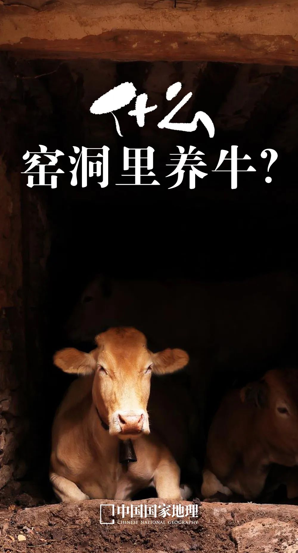 今年的高考地理题,意料之外...... 第2张