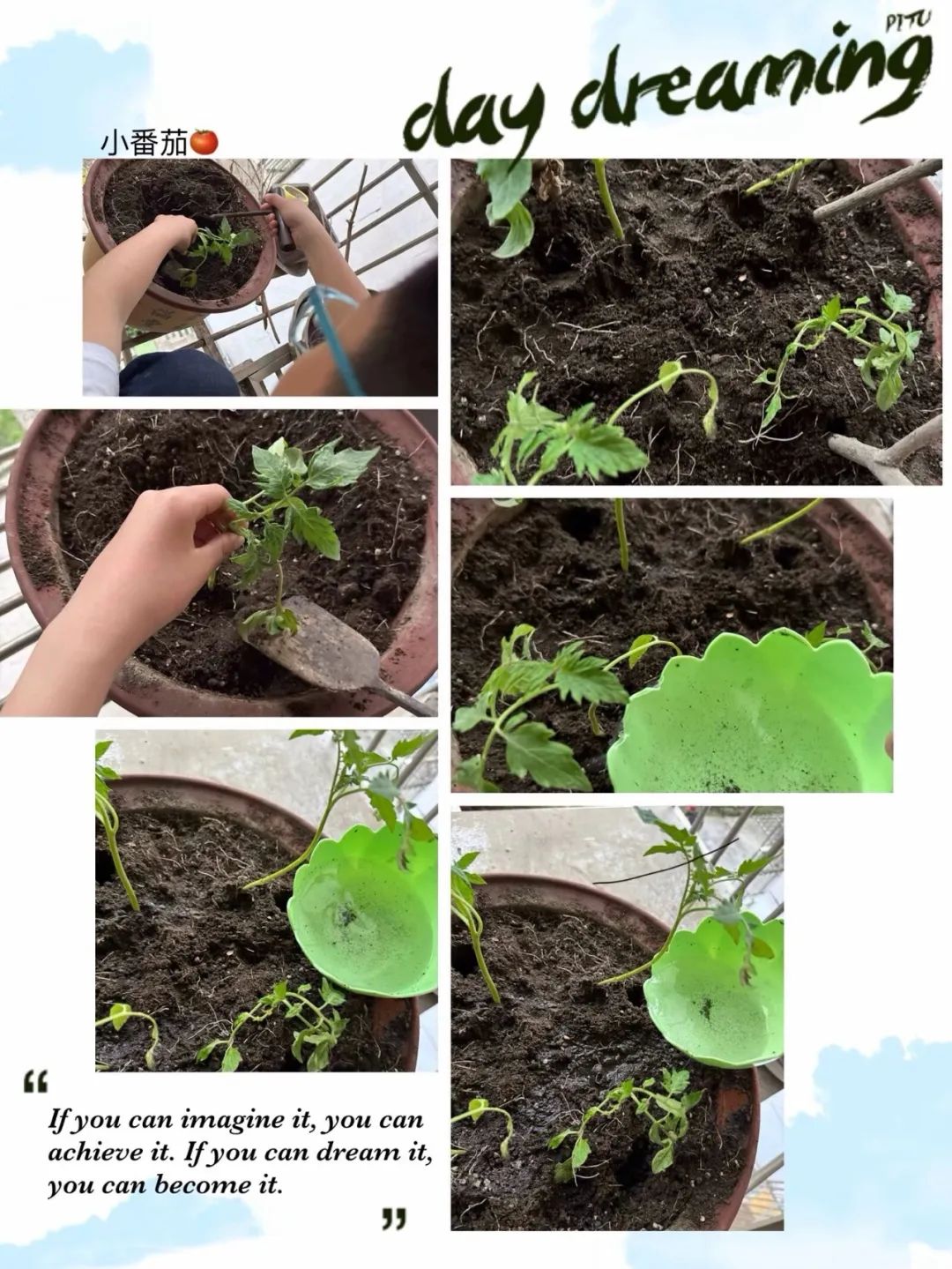 【实小教育集团·十里坊小学】“趣”当劳动者,“育”见劳动美 ——四年级劳动主题系列活动 第19张