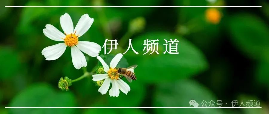 2024中考语文模拟试卷及参考答案(四十三)【可打印】 第1张