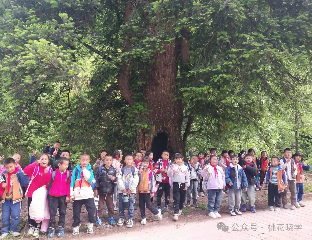 走进石头老君山 了解生物多样性——桃花小学开展一年级自然生态课堂活动 第20张 走进石头老君山 了解生物多样性——桃花小学开展一年级自然生态课堂活动 第20张