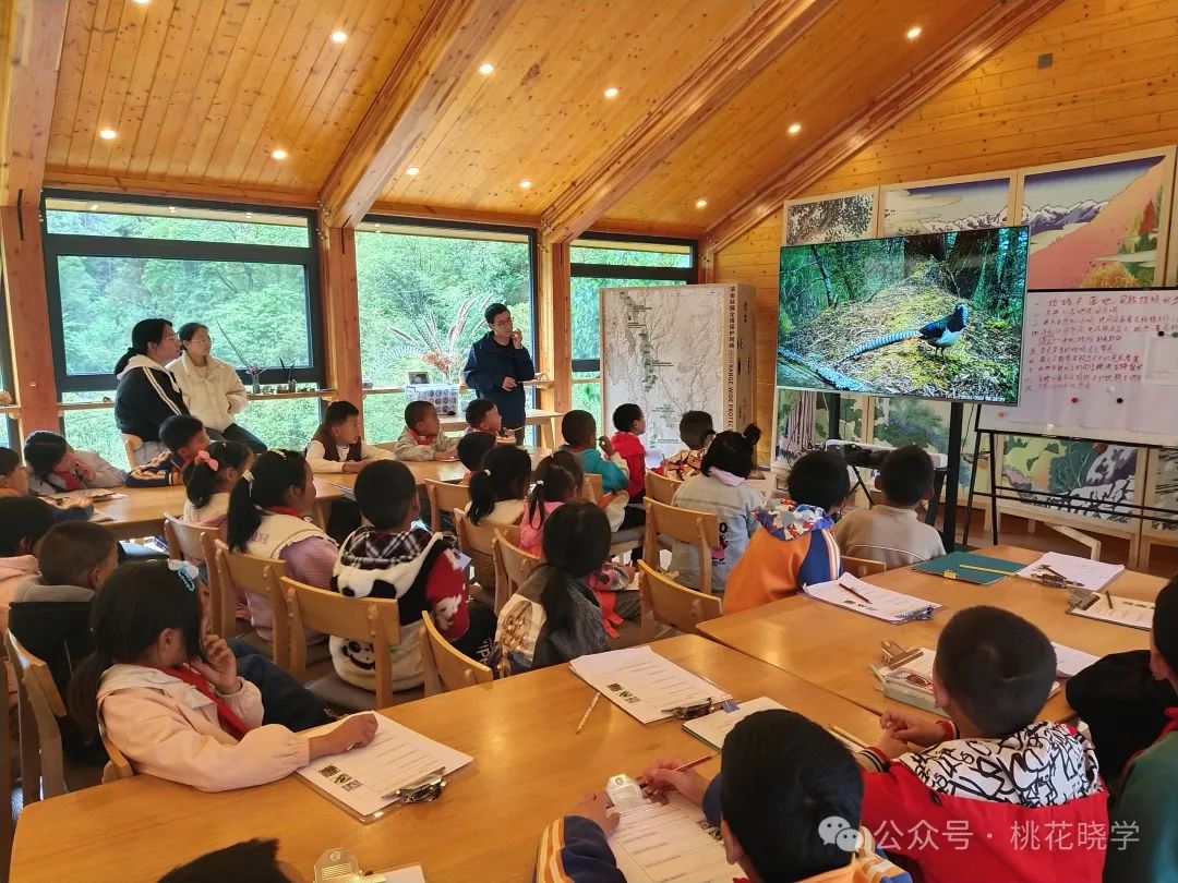 走进石头老君山 了解生物多样性——桃花小学开展一年级自然生态课堂活动 第8张 走进石头老君山 了解生物多样性——桃花小学开展一年级自然生态课堂活动 第8张