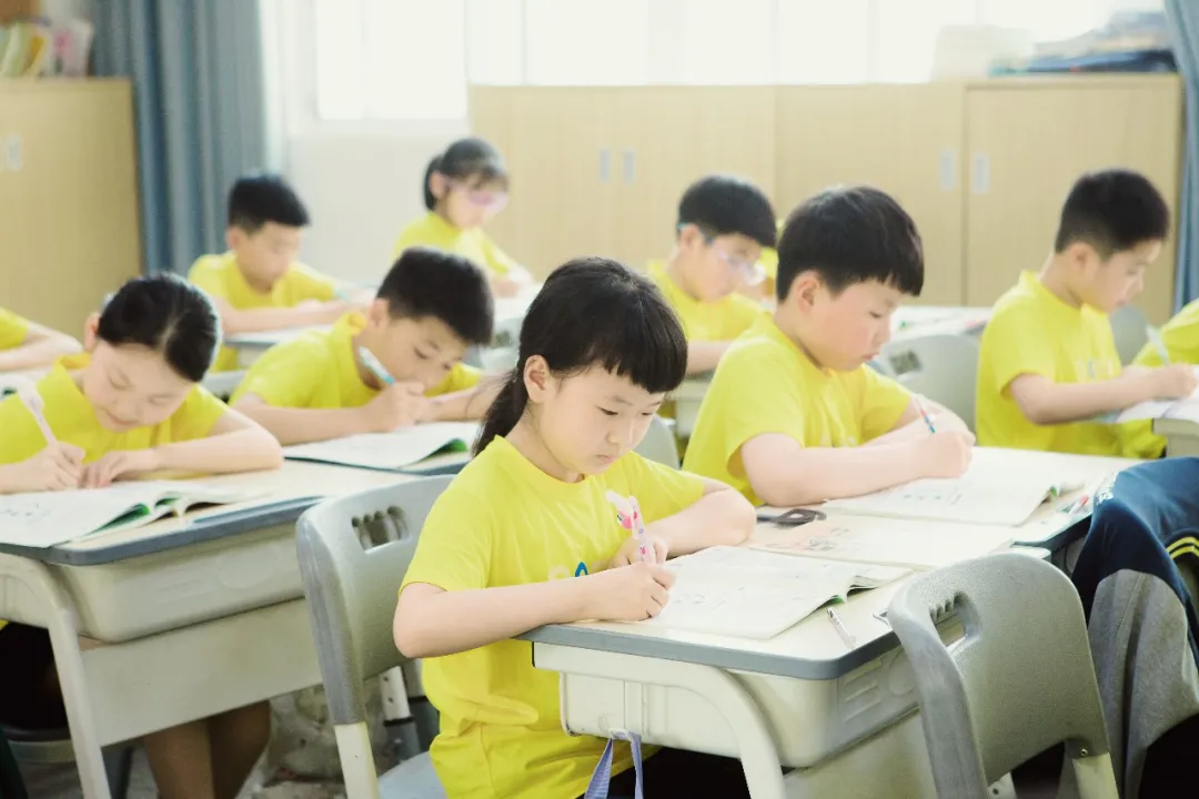 宝莉外国语小学2024秋季新生招募 第12张