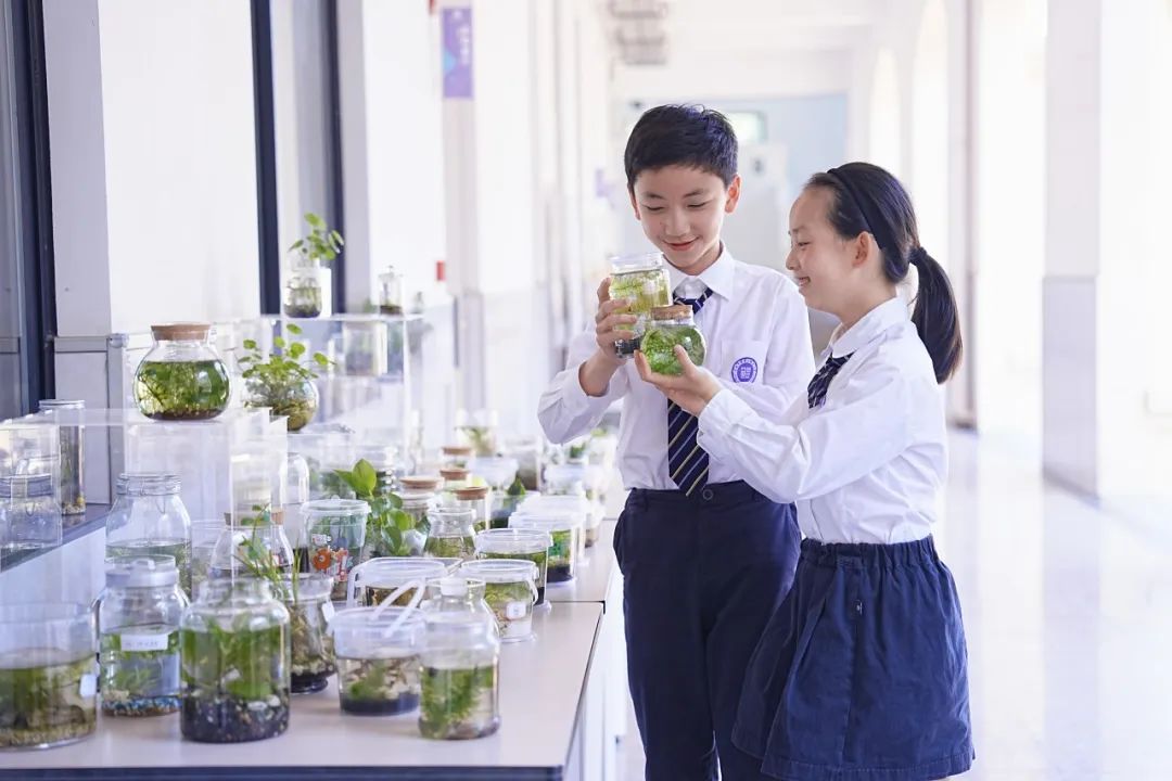 镇海区鲲池小学今年招生划重点!2024年秋季招生“十”问与“实”答 第13张 镇海区鲲池小学今年招生划重点!2024年秋季招生“十”问与“实”答 第13张