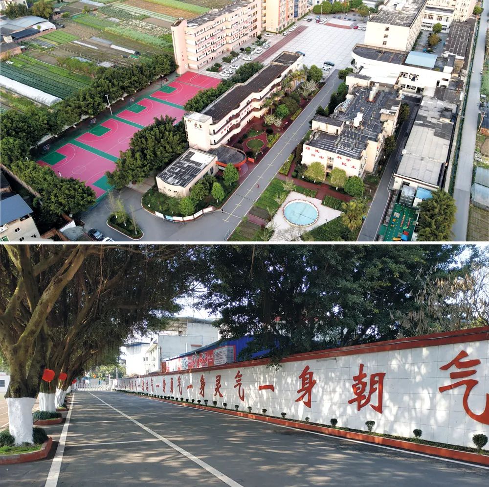 中考,你要知道的事(4) 第21张