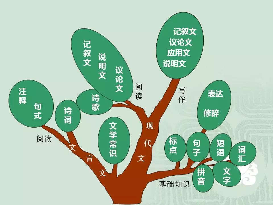 2024中考:初中语文《知识体系思维导图》 第1张