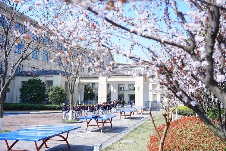 镇海区鲲池小学今年招生划重点!2024年秋季招生“十”问与“实”答 第6张 镇海区鲲池小学今年招生划重点!2024年秋季招生“十”问与“实”答 第6张