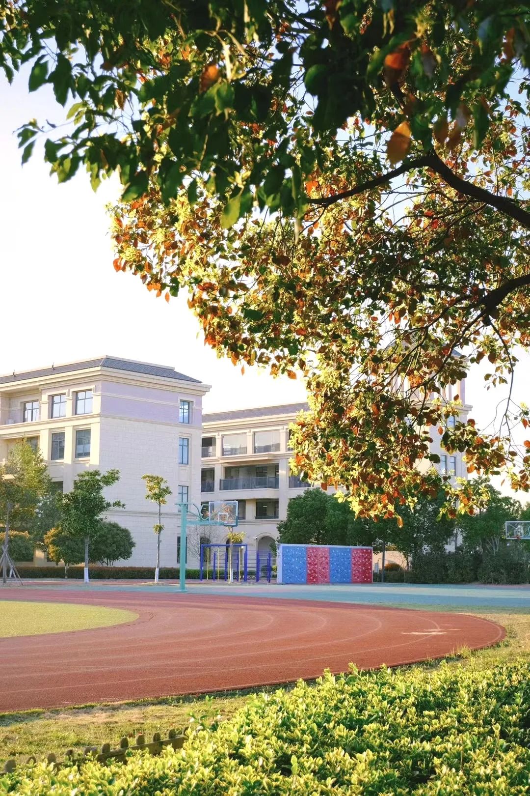镇海区鲲池小学今年招生划重点!2024年秋季招生“十”问与“实”答 第4张 镇海区鲲池小学今年招生划重点!2024年秋季招生“十”问与“实”答 第4张