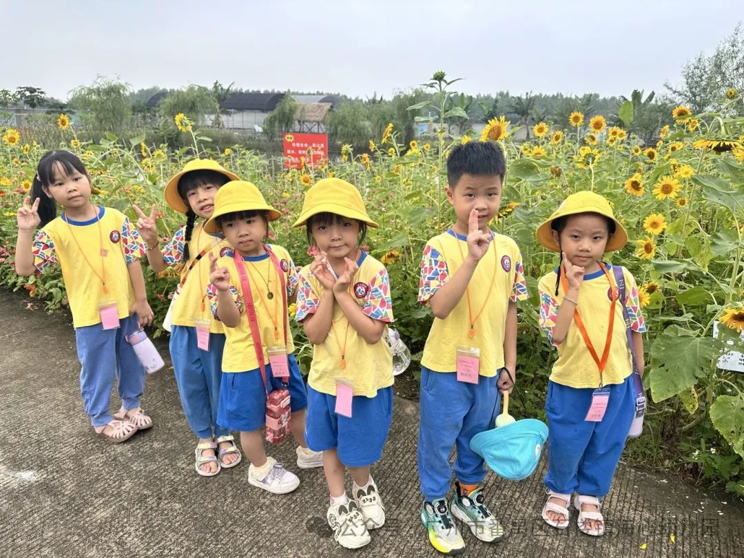 探秘小学,筑梦成长——石楼镇海心幼儿园幼小衔接参观海鸥学校活动 第67张