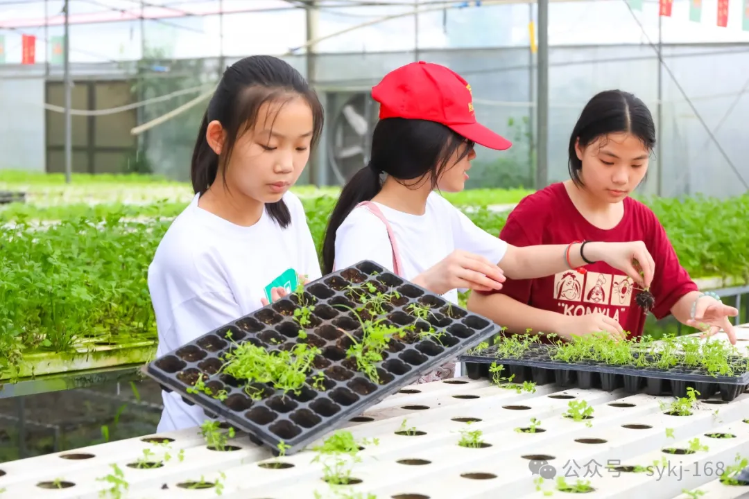 20240522D衡山县实验小学研学实践活动 第143张 20240522D衡山县实验小学研学实践活动 第143张